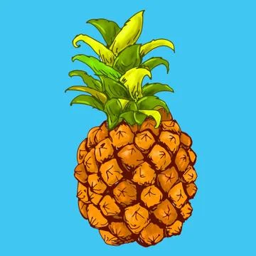 Designed pineapple color with colored background Stock Illustration