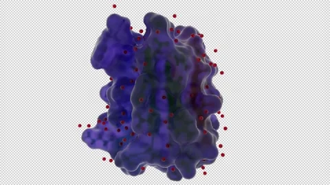 Designed protein Foldit1 PDB 6MRR Stock Footage 157047267