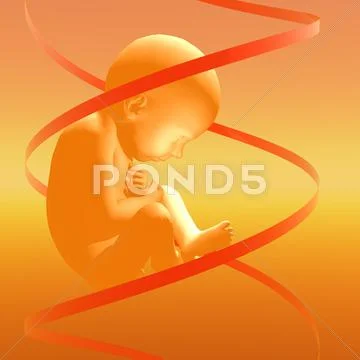Designer baby, artwork Stock Illustration