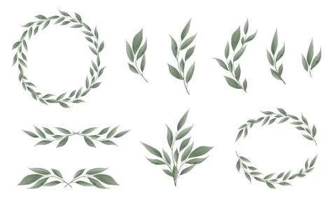 Designer elements set collection of greeng leaves herbs Stock Illustration