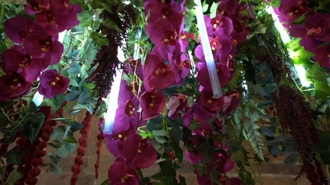 Designer flower Stock Footage 101730224