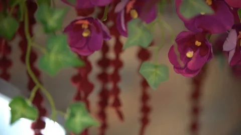 Designer flower Stock Footage 101731137