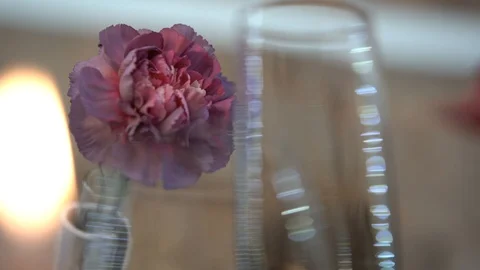 Designer flower 스톡 동영상 101731141