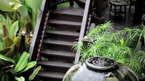 DESIGNER GARDEN Vidéo 8861292