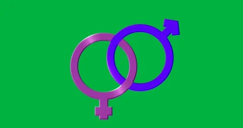 Designer placing interlocking gradient gender symbols on transparent canvas for Stock Footage 317669169
