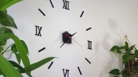 Desing minimal clock on the wall with plants Stock Footage 287221283
