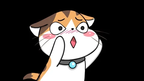 Desiring Kitten Animation - Transparent Background Video stock 282772769