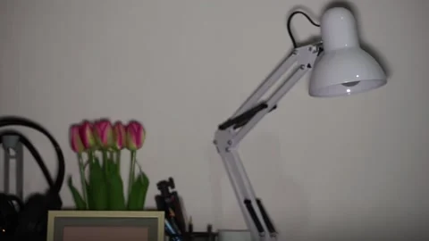 The desk lamp. Stock Footage 164497377