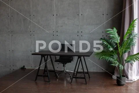 Desk in the office. Tropical flower in a pot. Office or home interior. Stock-Fotos