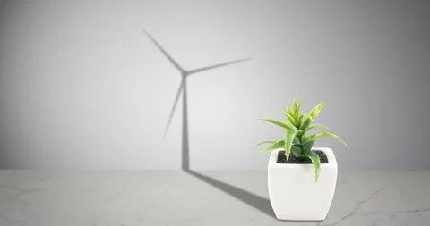 Desk Plant Windmill Shadow 库存影片 94880744