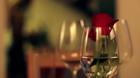 Desk Rose Stock Footage 40339677