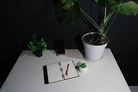 Desk setup with plants, notebook, and phone for creative work or study Stock Photos