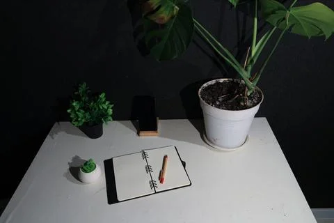 Desk setup with plants, notebook, and phone on a dark background Stock Photos