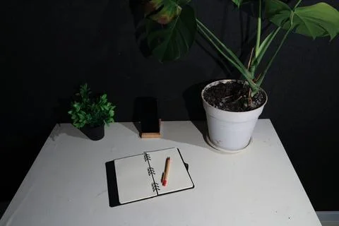 Desk setup with plants, notebook, pen, and phone on a white table Stock Photos