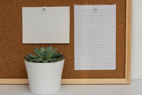 Desk table, work space. Cork board. Empty paper pages for notes. Stock-Fotos