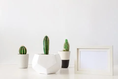 Desk on a white empty wall background with three cactuses in a geometric pot Stock Photos
