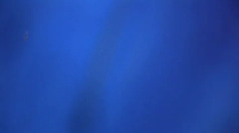 Desktop Menu 278 - New Folder Stock Footage 316706