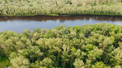 Desna River with forest. Aerial view. Stock Footage 175760726
