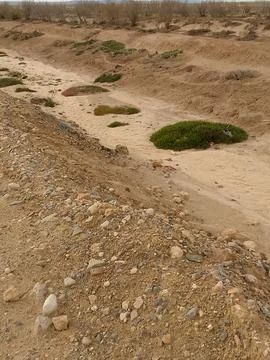 A Desolate Arid Basin Featuring Sparse Desert Vegetation Stock Photos