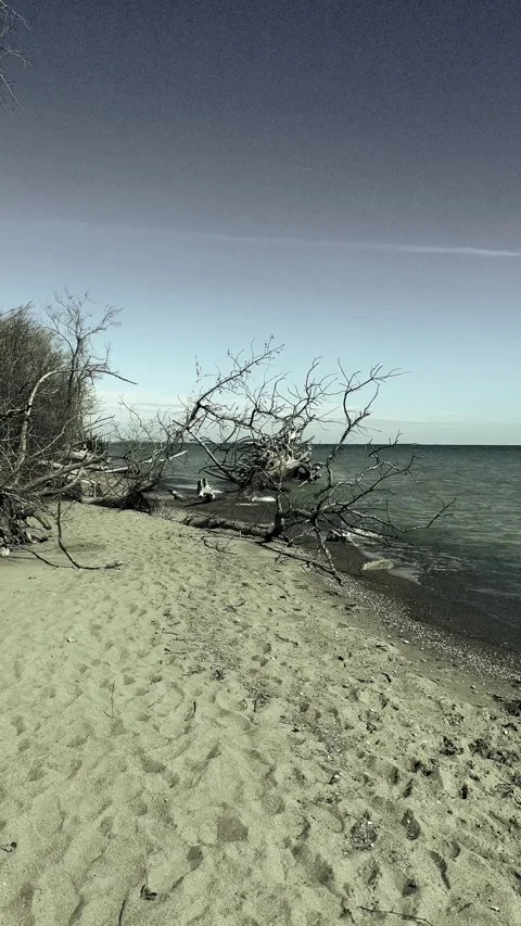 Desolate beach Stock Footage 279521440