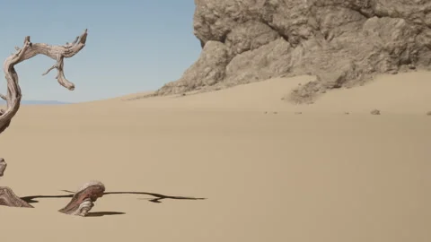 Desolate Beauty of a Lone Tree in a Vast Sandy Desert Landscape Видео 344824621