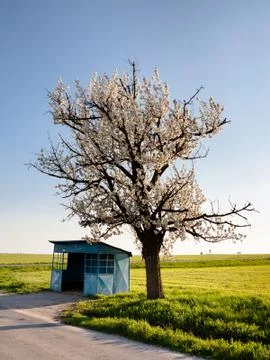 Desolate bus stop Stock Photos