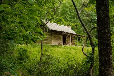 Desolate Cabin in the Woods Fotos de archivo