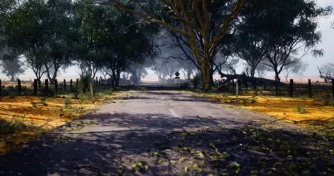 Desolate country road lined with trees under a blue sky on a sunny day Video stock 309710352