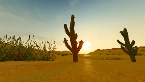 Desolate desert sunrise time-lapse scenery Stock Footage 273856615