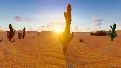 Desolate desert sunrise time-lapse scenery Stock Footage 280723942