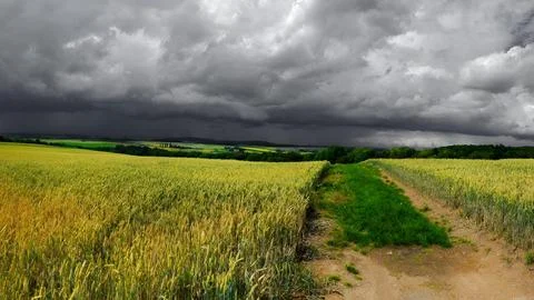 Desolate dirt path through lush green field Stockfoto's