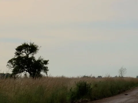 Desolate dirt road leading to a field 02 Stockbeeldmateriaal 128832846