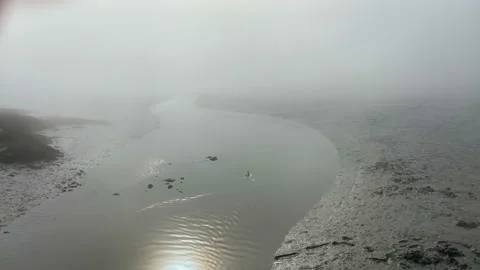 Desolate dramatic mudflat in heavy mist with obscured sun with cormorant Stock Footage 144415843