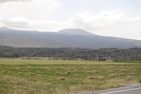 A desolate land and black earth. 库存照片