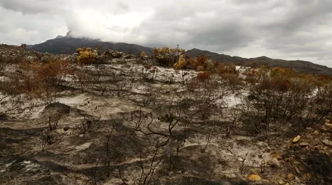 Desolate Landscape 1 Stock Footage 58959966