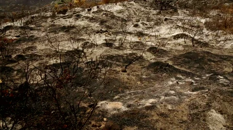 Desolate Landscape 2 Stock Footage 58957949