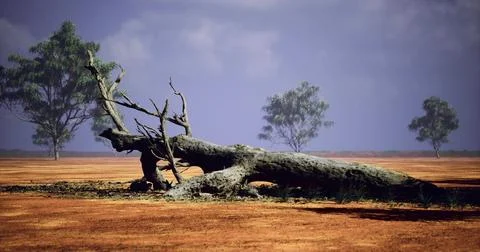 Desolate landscape with fallen tree amid sparse vegetation in dry environment 스톡 일러스트