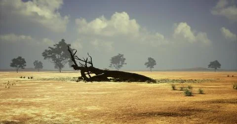 Desolate landscape with fallen tree and scattered clouds in a dry environment 스톡 일러스트