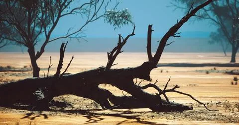 Desolate landscape with fallen tree trunk under bright blue sky Stock Illustration