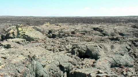 Desolate lava field Stock Footage 306457