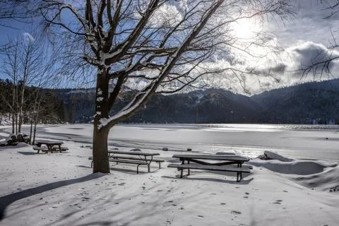 Desolate park by lake in winter. Stock Photos