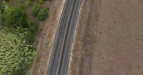 Desolate Road Green Trees and Brown Pasture Drone Aerial View Caldwell Texas Stock Footage 221113629