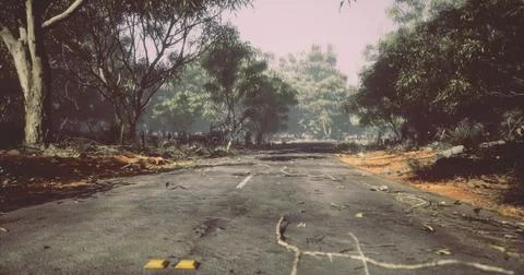 Desolate road in wilderness after storm with fallen branches and debris Stock Illustration