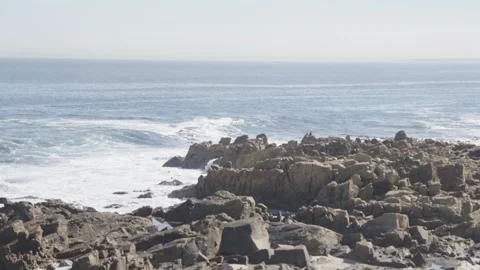 Desolate Rocky beach Stockbeeldmateriaal 333603621