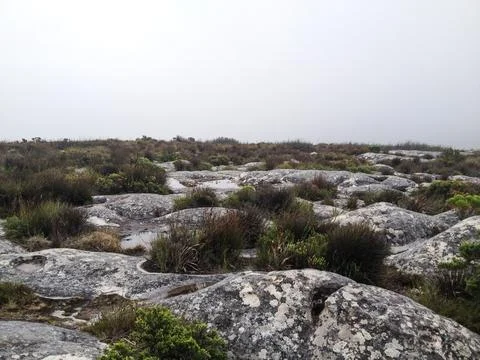 Desolate Rocky Valley Stock Photos