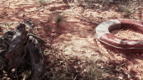Desolate Scene of an Abandoned Life Preserver in a Dry Wilderness Video stock 347014380