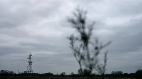 Desolate Scenery: Winter landscape with wild shrub and Electricity Pylon Stock Footage 21887795