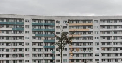 Desolate small tree in front of a large residential building Stock Photos