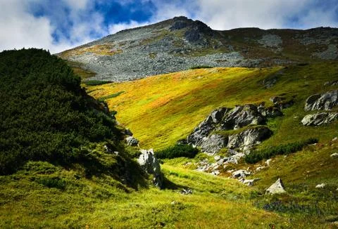 A desolate stone field high in the mountains Stock Photos