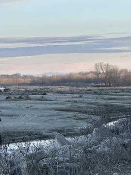 Desolate Winter Riverbed with Bare Trees and Mountains Stock Photos
